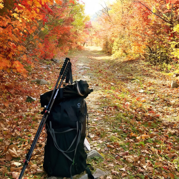 Bâton de trekking avec système de verrouillage