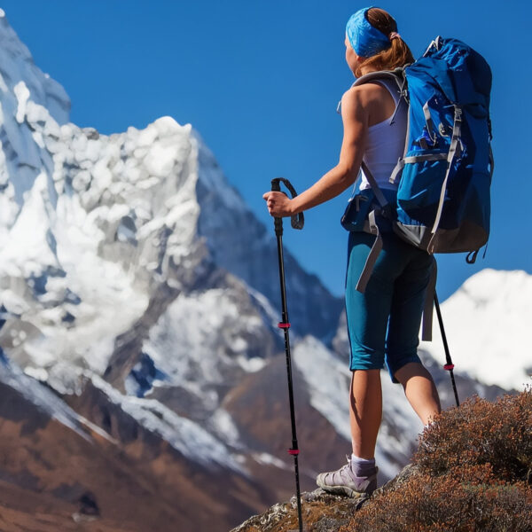 Bâton de marche en carbone pour longue distance
