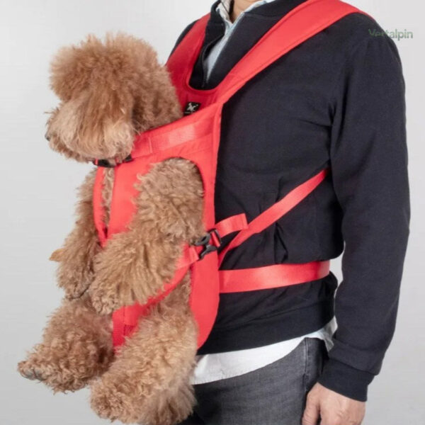 Sac à Dos Spécial Chien pour Randonnée Sécurisée