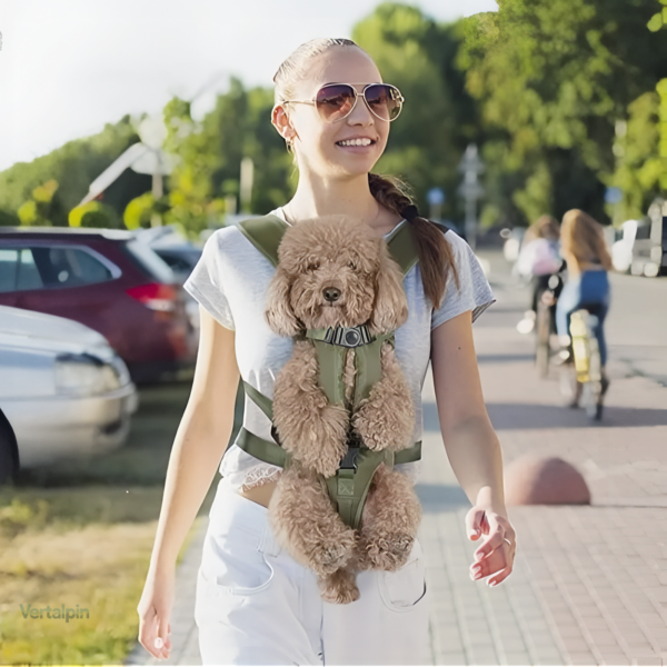Porte Ventral pour Chien lors de Randonnées