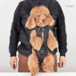 Sac à Dos de Randonnée pour Transport Chien