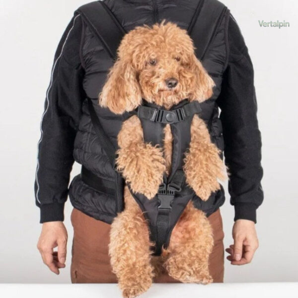 Sac à Dos de Randonnée pour Transport Chien