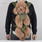 Transport Ventral pour Chien lors de Balades