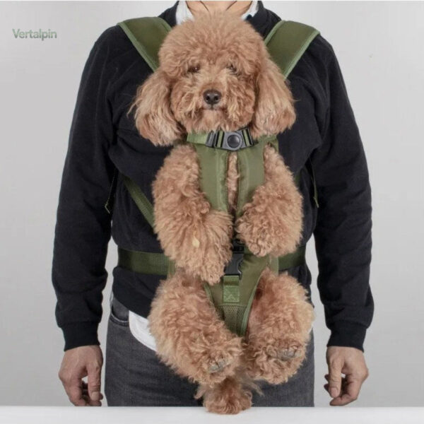 Transport Ventral pour Chien lors de Balades