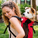 Sac pratique pour balades avec chien