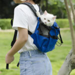Sac adapté aux randonnées avec chien